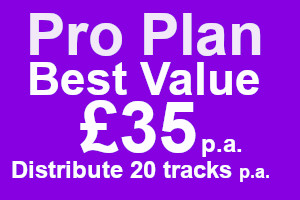 Pro Plan - Best Value